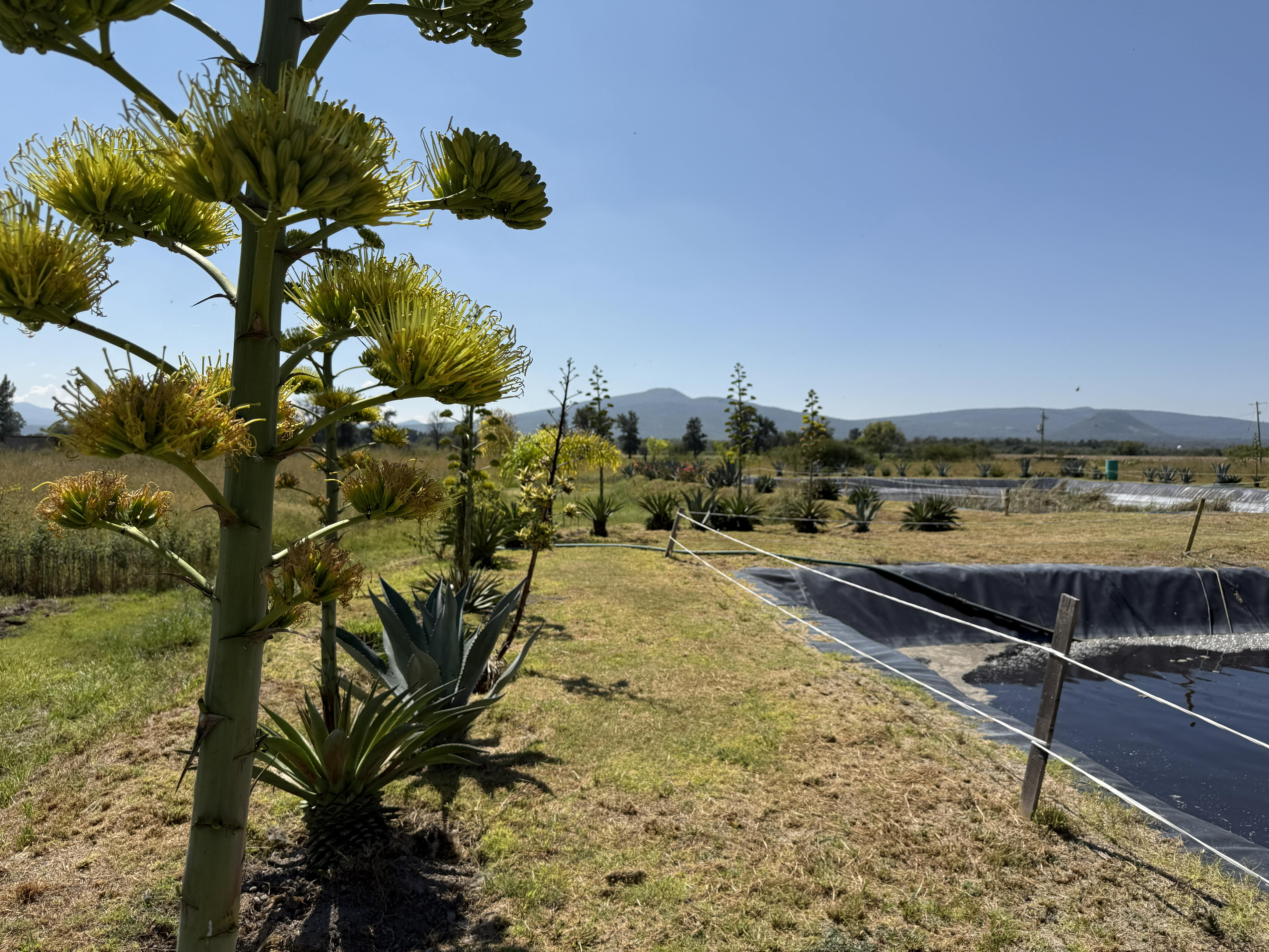 Enfoque ambiental